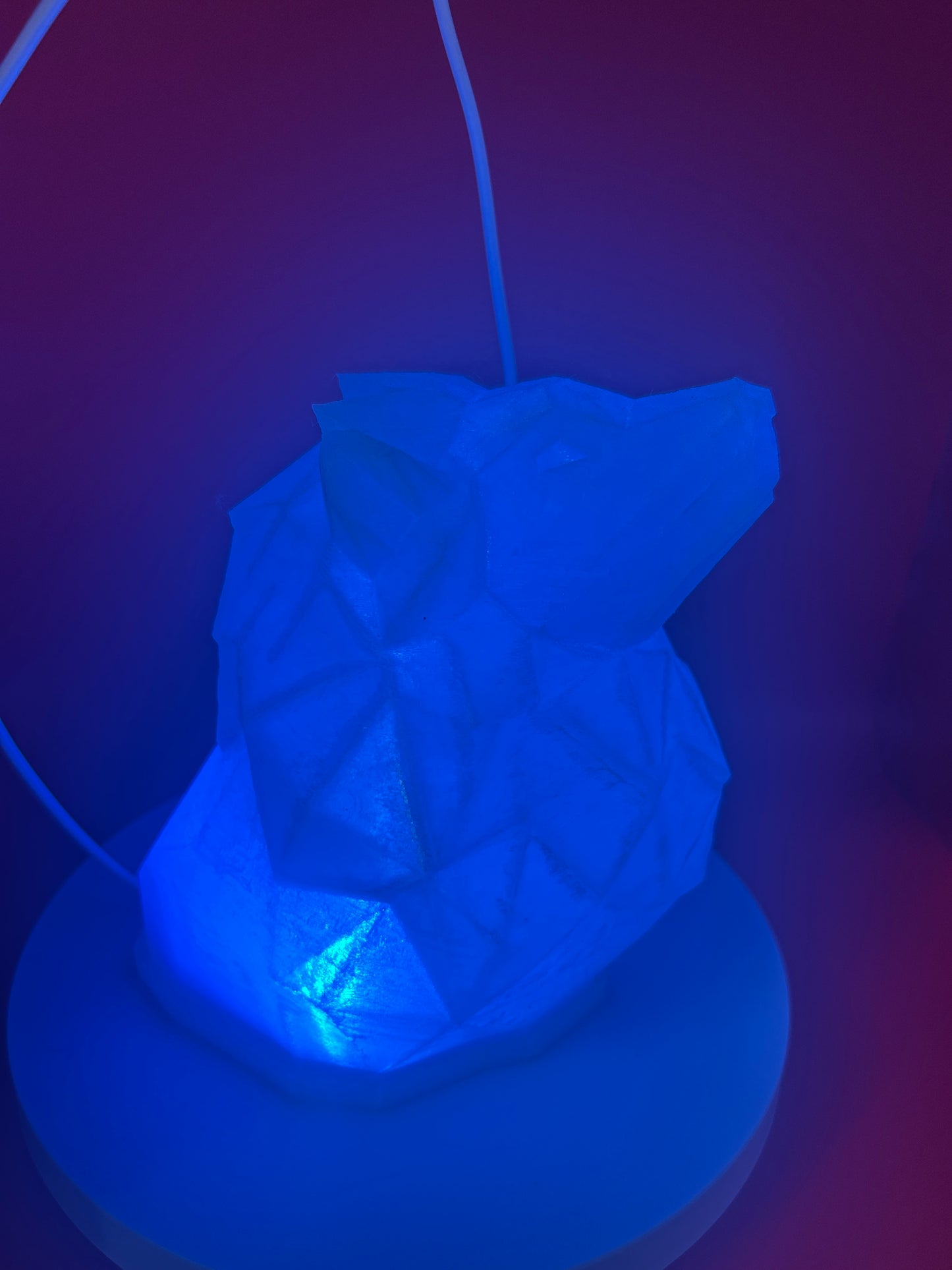 LAMPE VEILLEUSE LION