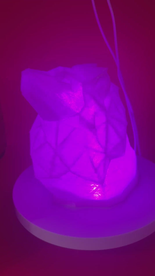 LAMPE VEILLEUSE LION